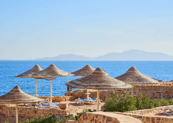 Resort Dreams Vacation - Sheikh