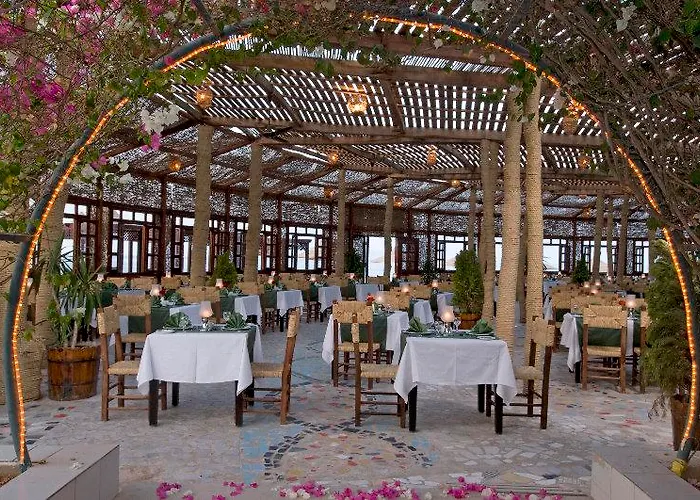 Resort Dreams Vacation - Sheikh